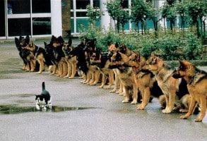 Mantenha seu caminho e plano não importa o que aconteça!