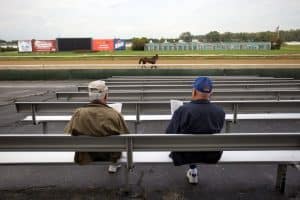 Postura de um Apostador
